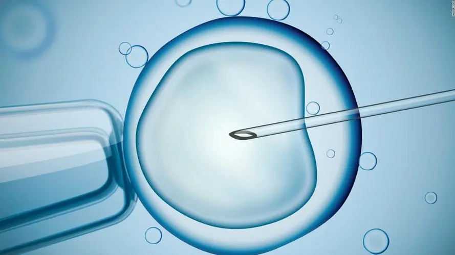 深圳目前有哪几家医院能进行供卵试管助孕技术？深圳供卵医院介绍